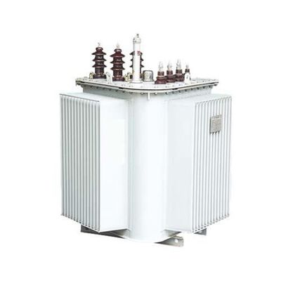 Transformador imergido óleo 10/0.4KV 30-1600KVA de S13 S14 MRL